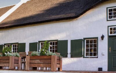 Taaibosch Collection