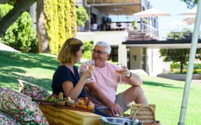 Picnic Experiences at Webersburg Wine Estate