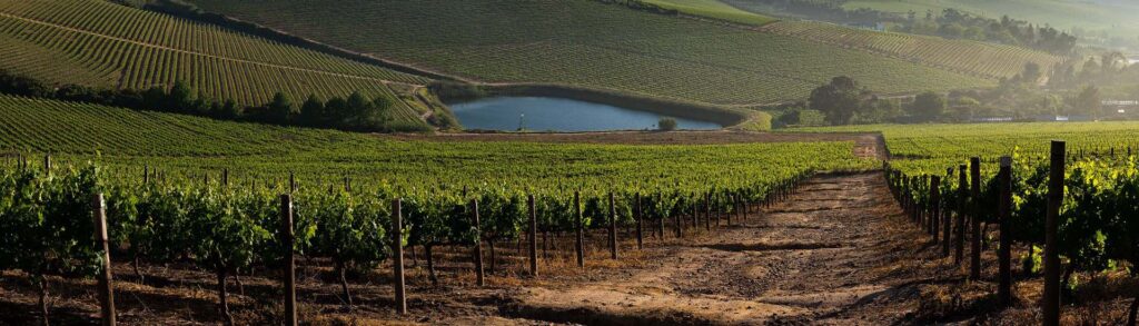 The Cellar Door at Jordan
