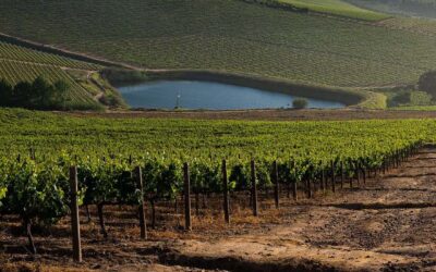The Cellar Door at Jordan
