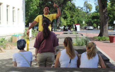 Vibevan Free Walking Tours Stellenbosch - Vibing